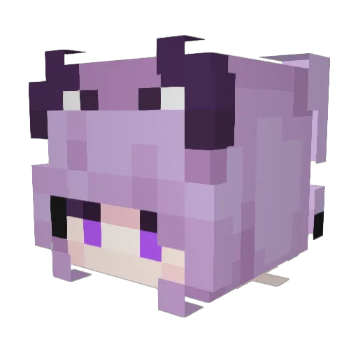 Shirolee1029 Minecraft avatar head, 3D render
