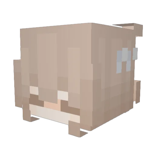 Shirotama618 Minecraft avatar head, 3D render