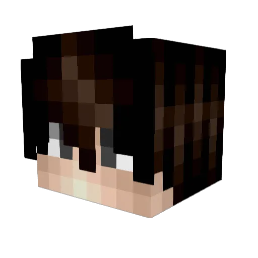 ShirouKing Minecraft avatar head, 3D render