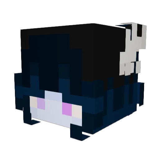 Shirouwu54 Minecraft avatar head, 3D render