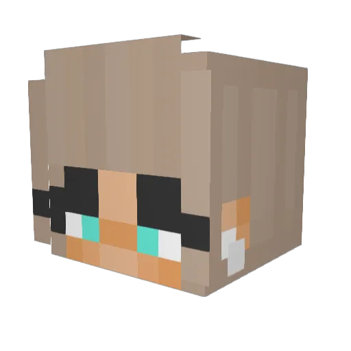 ShiroxX0 Minecraft avatar head, 3D render