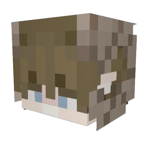 Shirstian Minecraft avatar head, 3D render