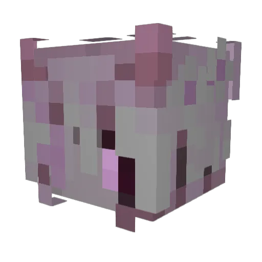 Shirudaa Minecraft avatar head, 3D render