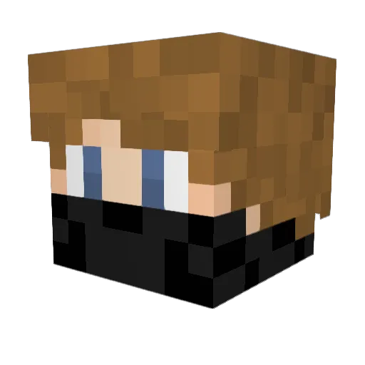 Shirukid Minecraft avatar head, 3D render