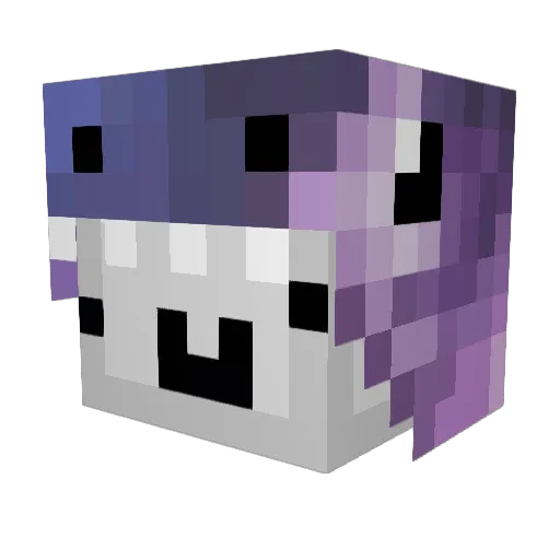 Shiruuu_ Minecraft avatar head, 3D render