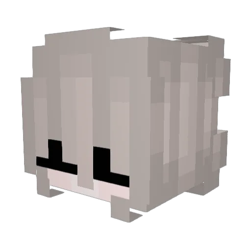 Shishkaa Minecraft avatar head, 3D render