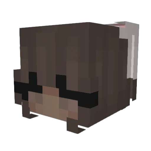 Shister Minecraft avatar head, 3D render