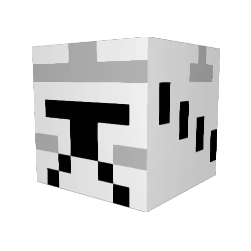 Shitiny_ Minecraft avatar head, 3D render