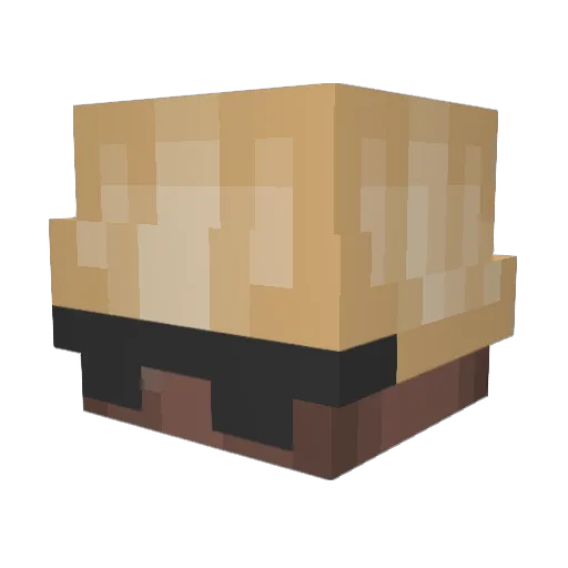 Shivaree Minecraft avatar head, 3D render