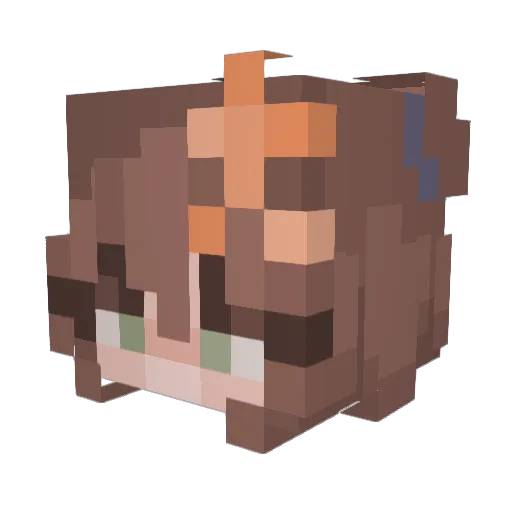 Shivaun Minecraft avatar head, 3D render