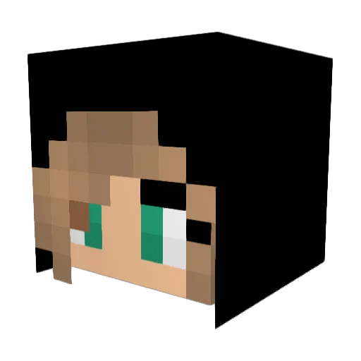 Shiver63 Minecraft avatar head, 3D render