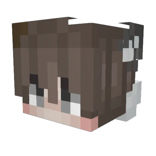 Shiwasu_Ken Minecraft avatar head, 3D render