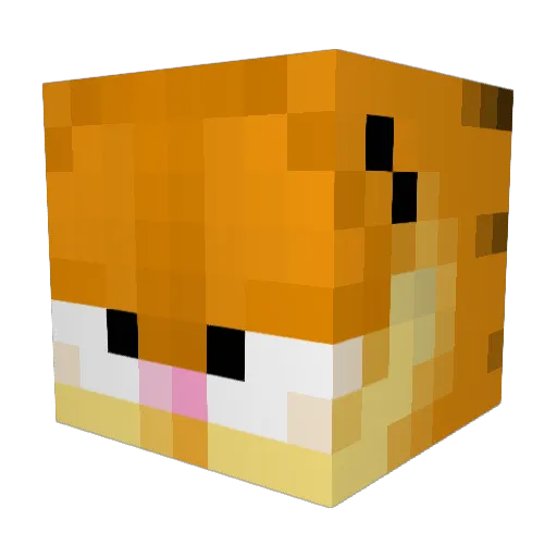 Shiwey_ Minecraft avatar head, 3D render