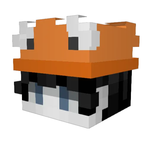 Shixmy_ Minecraft avatar head, 3D render