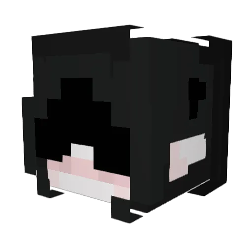 Shixwy Minecraft avatar head, 3D render