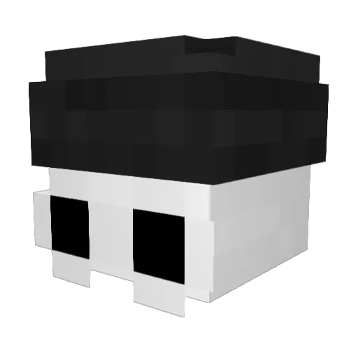 Shiznitz300 Minecraft avatar head, 3D render