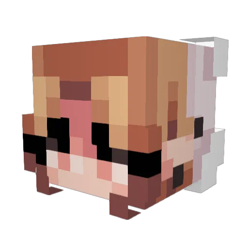 ShizueAyu Minecraft avatar head, 3D render
