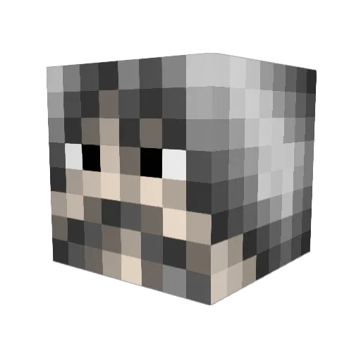 Shizzinator Minecraft avatar head, 3D render