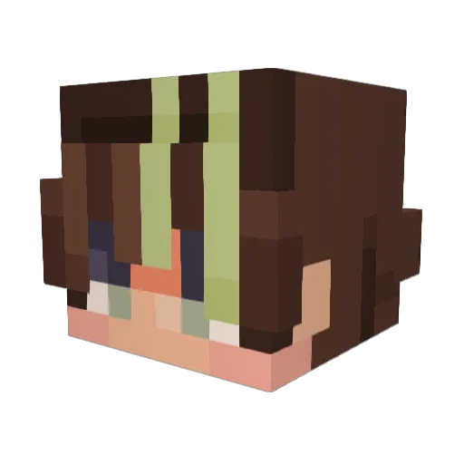 ShllokJ Minecraft avatar head, 3D render