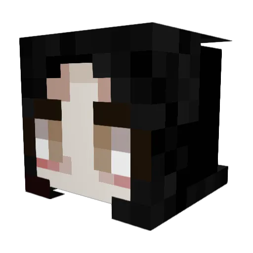 Shlnj Minecraft avatar head, 3D render