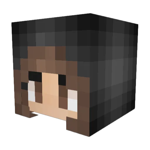 Shloe Minecraft avatar head, 3D render