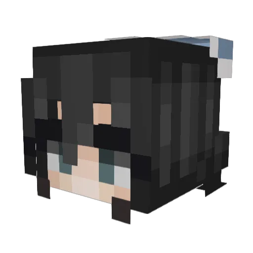 Shloopblard Minecraft avatar head, 3D render