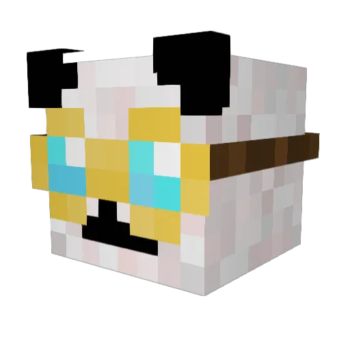 Shloshy101 Minecraft avatar head, 3D render