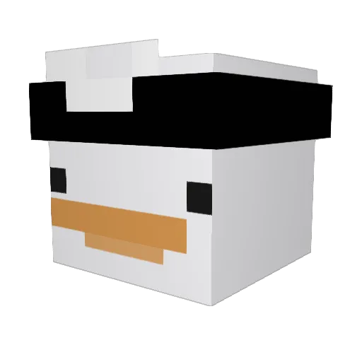 Shlumbus1603 Minecraft avatar head, 3D render