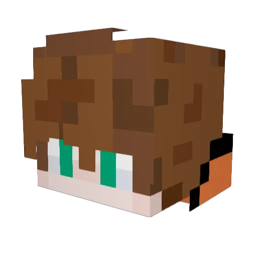 Shlyapych Minecraft avatar head, 3D render