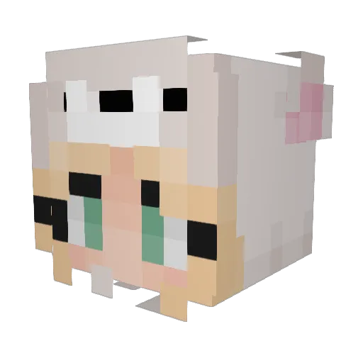 Shmeefy Minecraft avatar head, 3D render