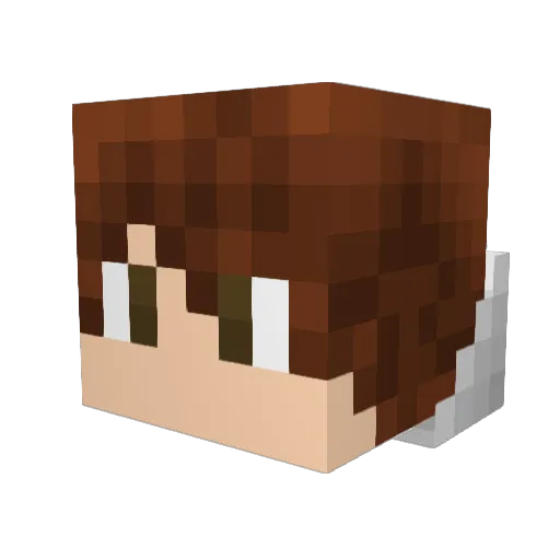 Shmen8980 Minecraft avatar head, 3D render
