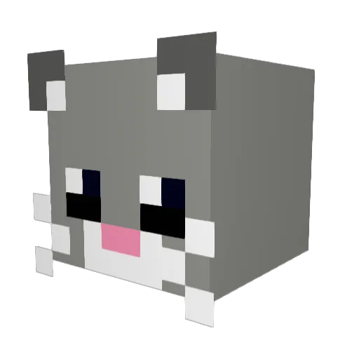 Shmendon Minecraft avatar head, 3D render