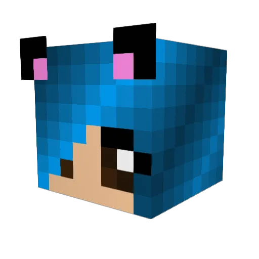 Shmenti Minecraft avatar head, 3D render