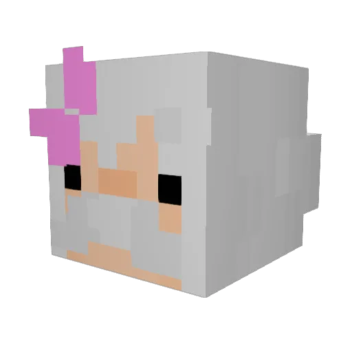 Shmirpy Minecraft avatar head, 3D render