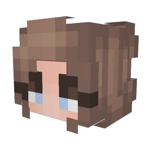 Shmirre Minecraft avatar head, 3D render