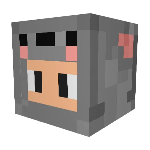 Shmop11 Minecraft avatar head, 3D render