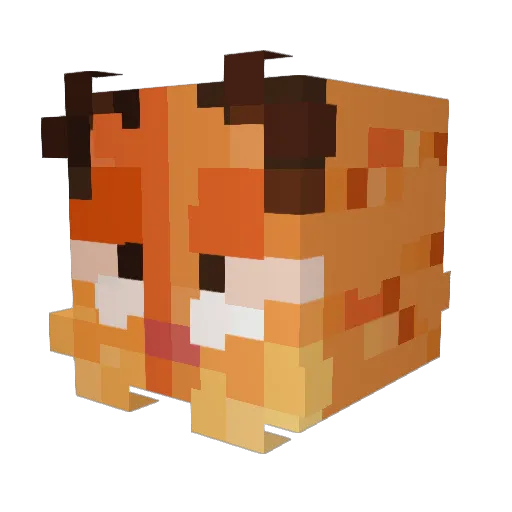 Shmucklenuts Minecraft avatar head, 3D render