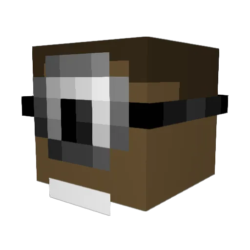 ShmunkleBunkle Minecraft avatar head, 3D render