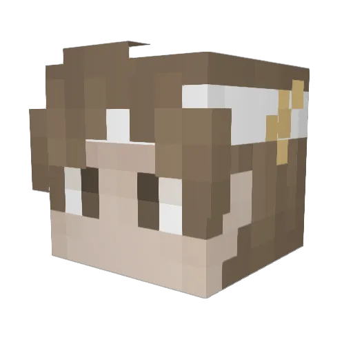 Shmurf_1703 Minecraft avatar head, 3D render