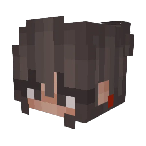 ShnaFall Minecraft avatar head, 3D render