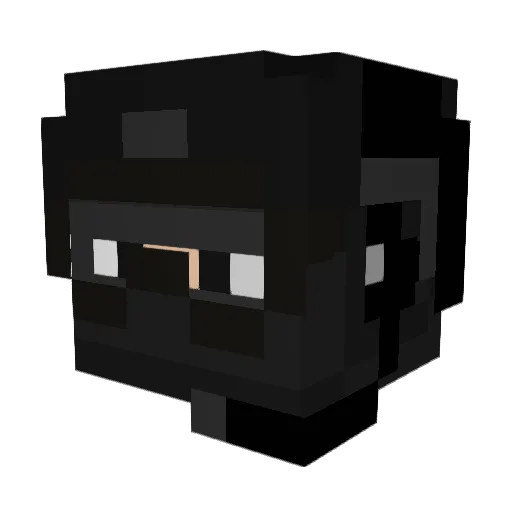 Shnarevadze Minecraft avatar head, 3D render