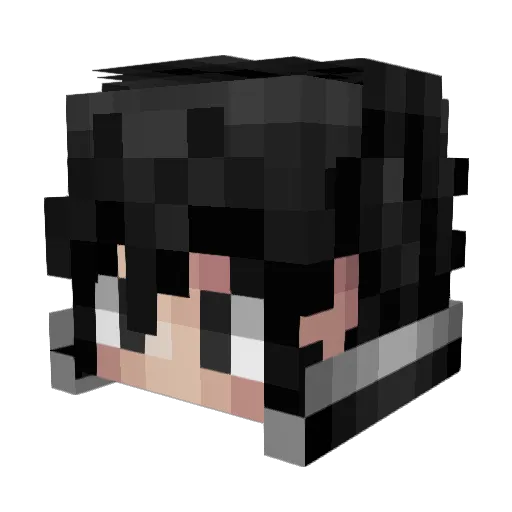 Shnitzel Minecraft avatar head, 3D render