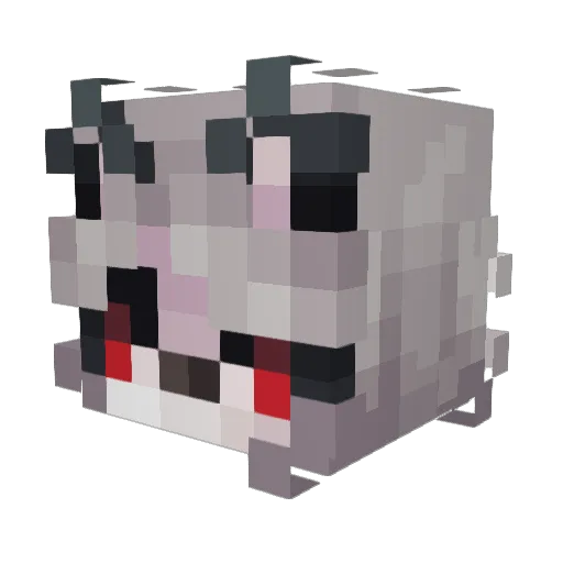 Shnuzzlezz Minecraft avatar head, 3D render