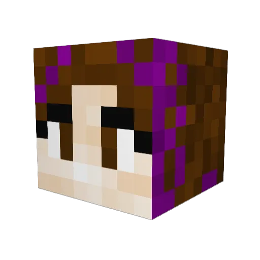 Shock182 Minecraft avatar head, 3D render