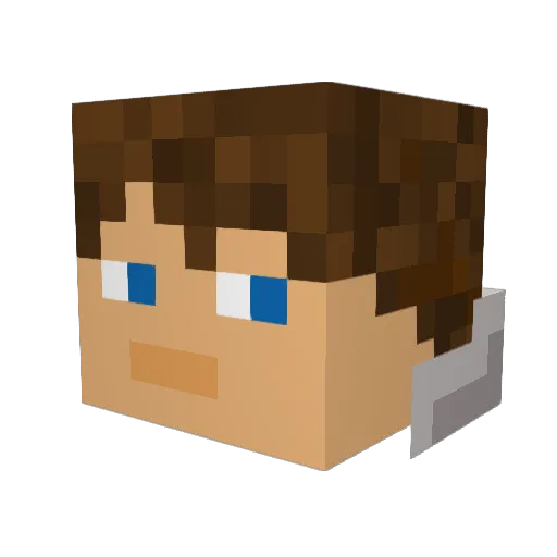 ShockWavePanda Minecraft avatar head, 3D render