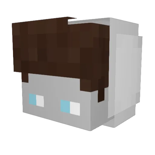 ShockZz6 Minecraft avatar head, 3D render