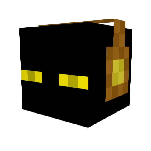 Shockdoc51 Minecraft avatar head, 3D render