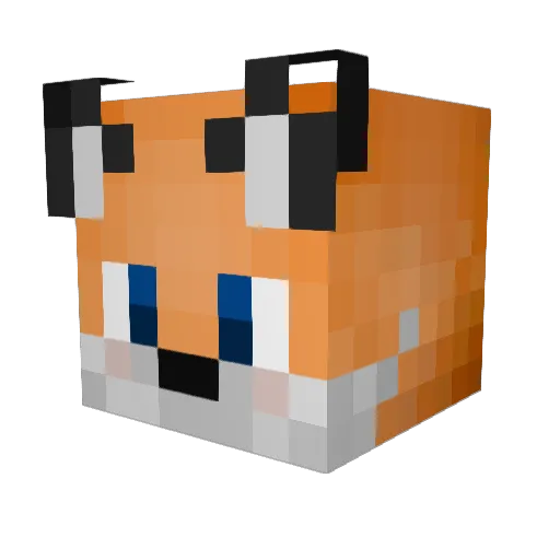 Shockfox19 Minecraft avatar head, 3D render