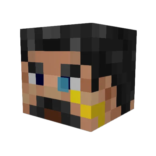 Shockwave801 Minecraft avatar head, 3D render
