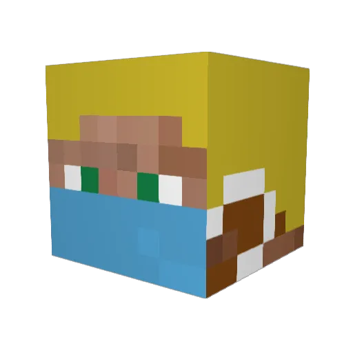 Shockwave_416 Minecraft avatar head, 3D render